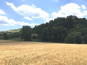 IMG_8300