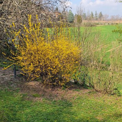 La primavera si avvicina