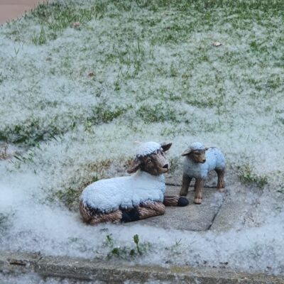 Di neve di pioppi…