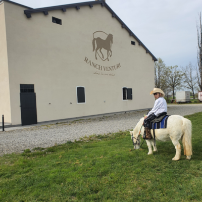 Si rimonta a cavallo!