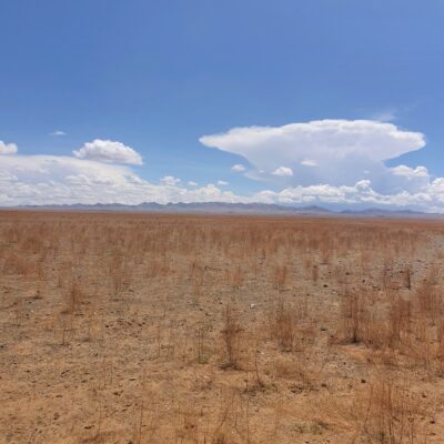 Quest’anno…Mongolia