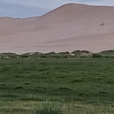 Quest’anno…Mongolia